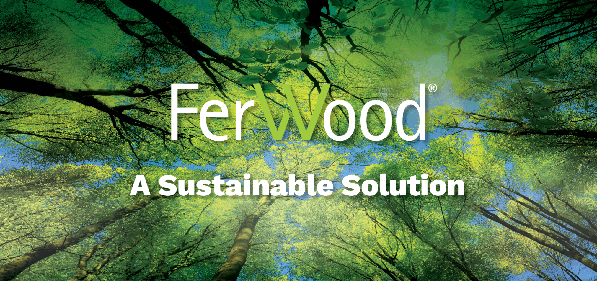 Ferwood: A Sustainable Solution